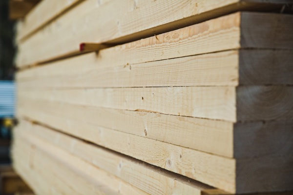 Почему карельский лес — не копеечный, а доски — не золотые?